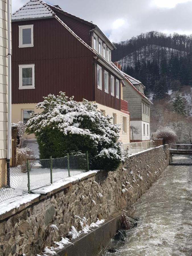Ferienhaus Am Fluss Mit Traumhafter Dachterrasse ,Garten Und Grill Walkenried Exteriér fotografie