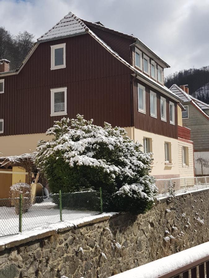 Ferienhaus Am Fluss Mit Traumhafter Dachterrasse ,Garten Und Grill Walkenried Exteriér fotografie