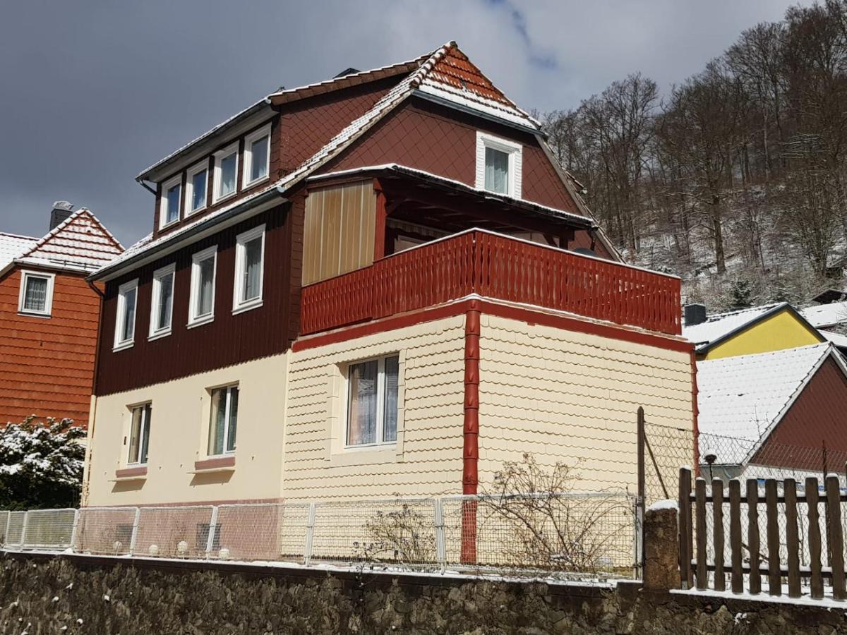 Ferienhaus Am Fluss Mit Traumhafter Dachterrasse ,Garten Und Grill Walkenried Exteriér fotografie