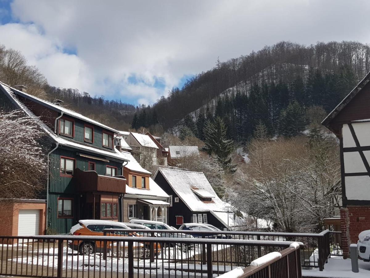 Ferienhaus Am Fluss Mit Traumhafter Dachterrasse ,Garten Und Grill Walkenried Exteriér fotografie