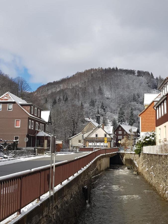 Ferienhaus Am Fluss Mit Traumhafter Dachterrasse ,Garten Und Grill Walkenried Exteriér fotografie