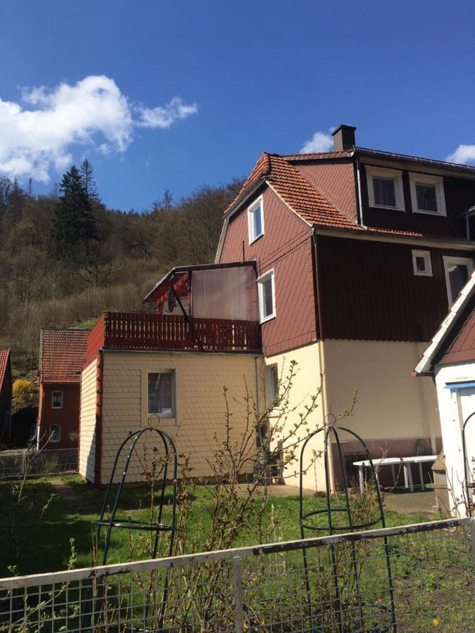 Ferienhaus Am Fluss Mit Traumhafter Dachterrasse ,Garten Und Grill Walkenried Exteriér fotografie