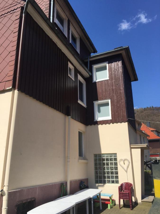 Ferienhaus Am Fluss Mit Traumhafter Dachterrasse ,Garten Und Grill Walkenried Exteriér fotografie