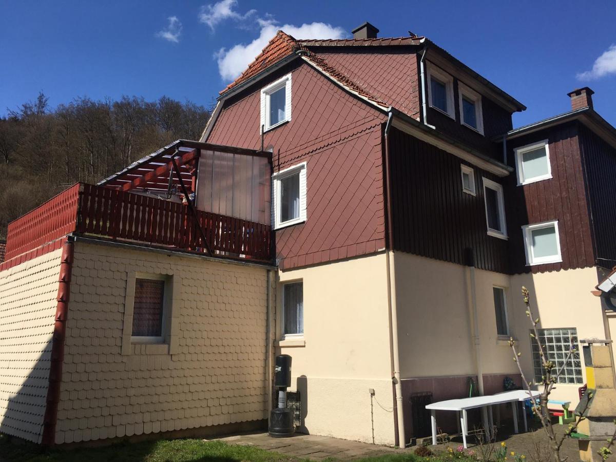 Ferienhaus Am Fluss Mit Traumhafter Dachterrasse ,Garten Und Grill Walkenried Exteriér fotografie