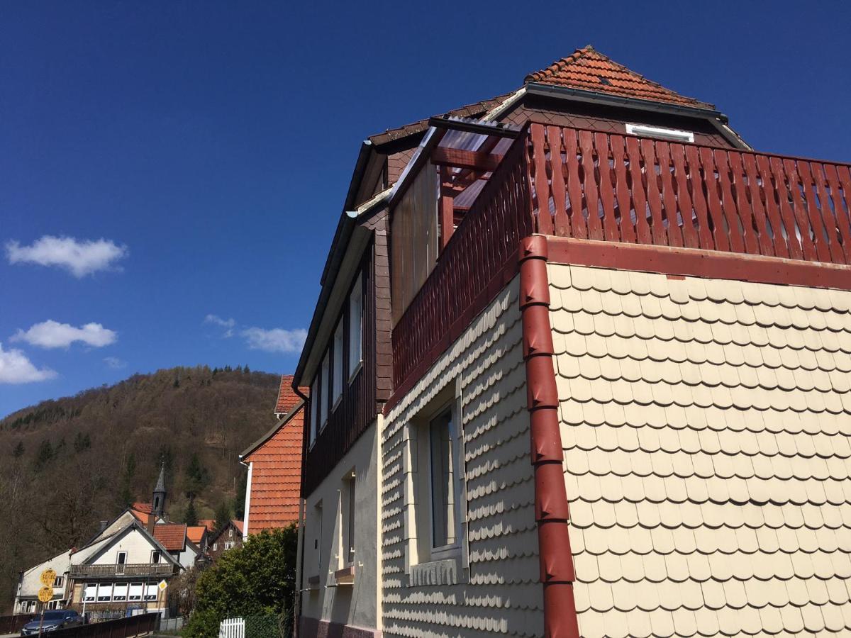 Ferienhaus Am Fluss Mit Traumhafter Dachterrasse ,Garten Und Grill Walkenried Exteriér fotografie